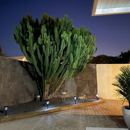 Villa Grey By Vulcano Homes Tahiche Exteriér fotografie