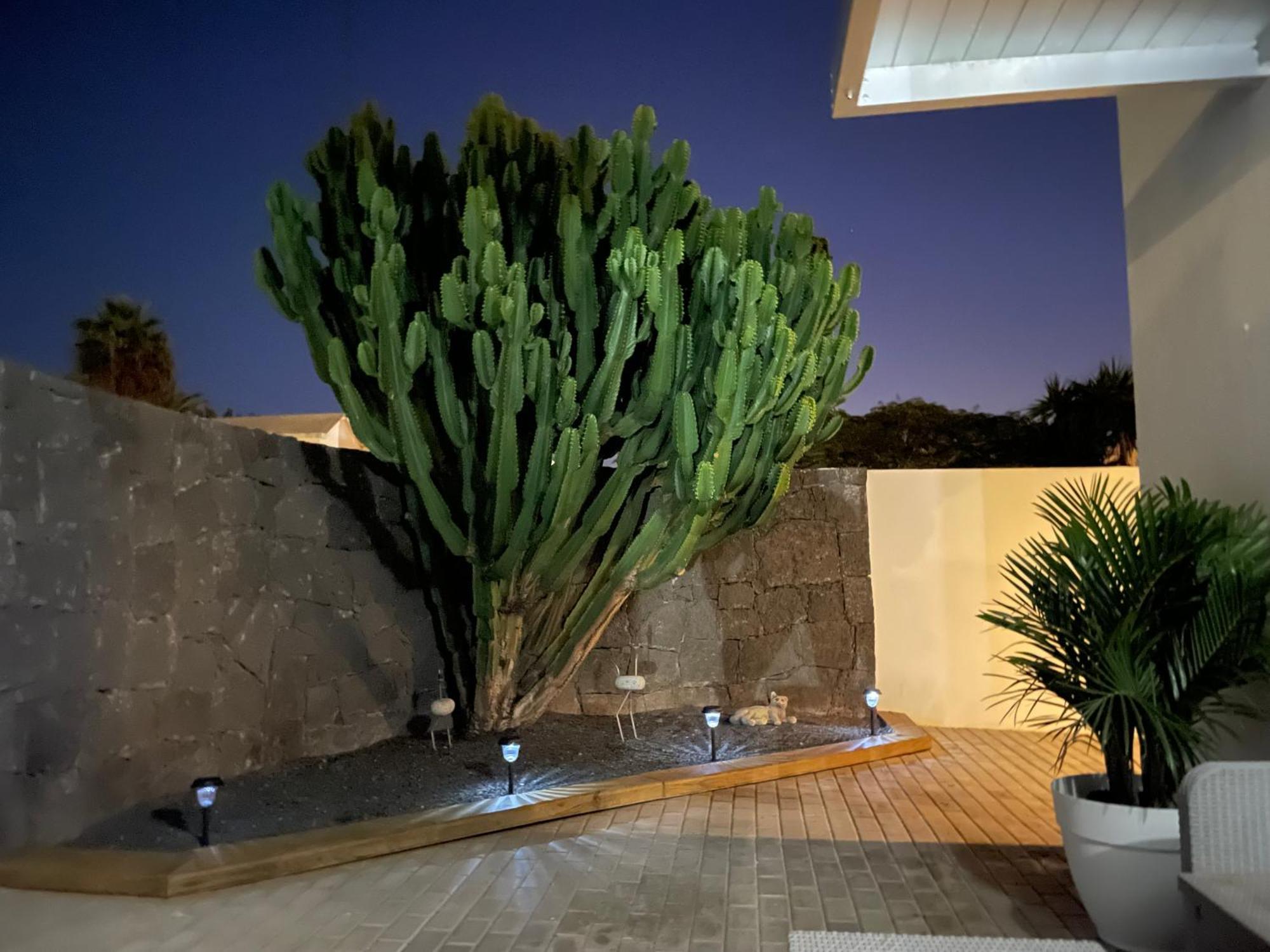 Villa Grey By Vulcano Homes Tahiche Exteriér fotografie